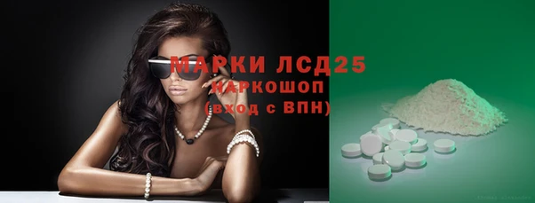 ГАЛЛЮЦИНОГЕННЫЕ ГРИБЫ Покровск